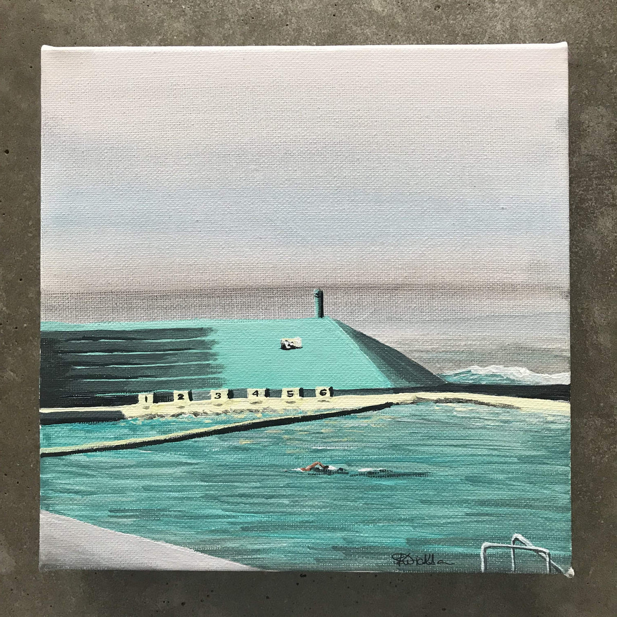 Lone Swimmer Newcastle Baths